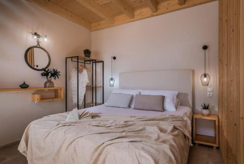 Olive Zen Villa Zakynthos